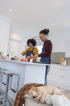 Couple wearing aprons preparing meal at kitchen island with egg carton, jug, sleeping puppy