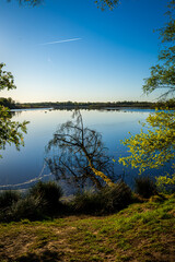 Obraz premium im Schatten der Bäume, während der See bereits das Blau des Himmels eingesammelt hatte. Mitten im Wasser liegt ein umgestürzter Baum, als hätte er beschlossen, nach einem langen Leben einfach auszuruh