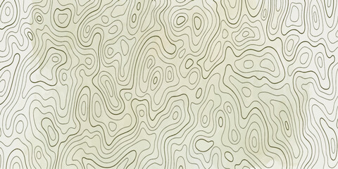 Fototapeta premium Topographic map contour lines create an abstract pattern, representing elevation changes and terrain variations in a neutral, light-colored design.