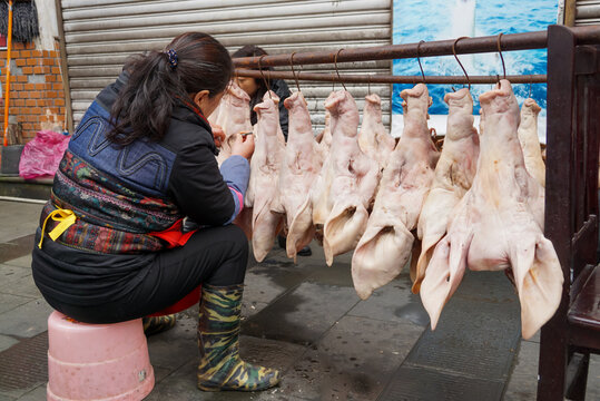 Woman preparing poultry at a market