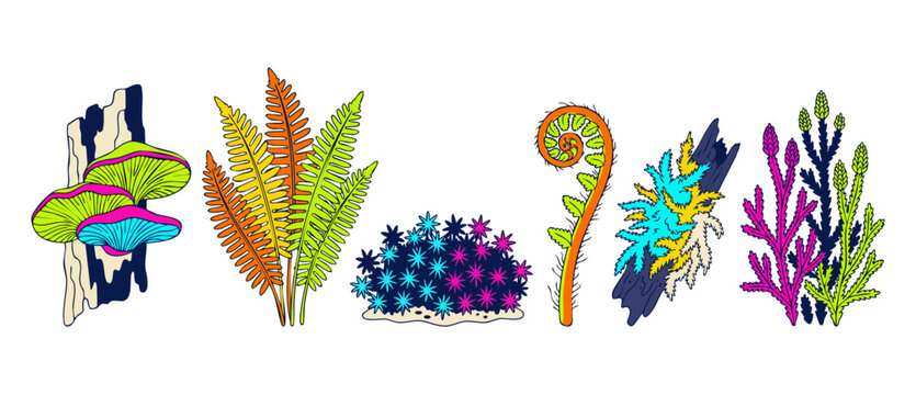 Forest plants and mushrooms vector illustration set of colorful woodland ferns, moss, lichens, and botanical flora clipart elements isolated on white background for nature design projects and graphics