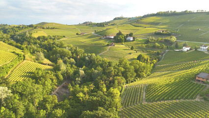 Fototapeta premium Aerial View of Rolling Green Vineyards in the Barolo Region