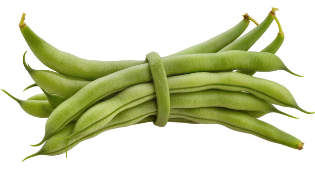 Bundle of fresh green beans tied with a green bean
