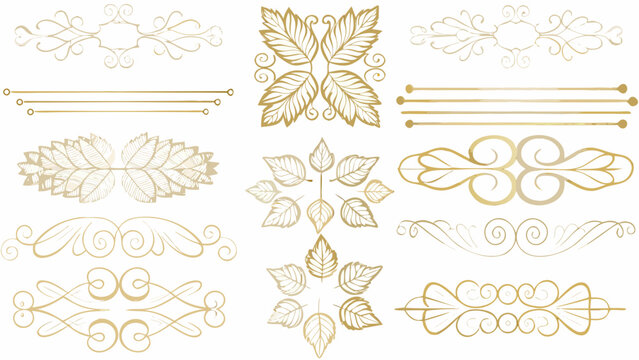 Gold floral ornaments and horizontal lines vector illustration on white background