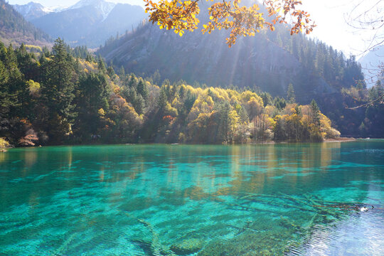 The breathtaking scenery of the crystal-clear turquoise lake with autumn colors at Jiuzhaigou National Park in Sichuan Province, China