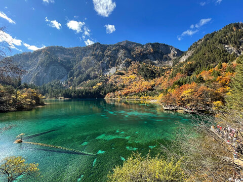 The breathtaking scenery of the crystal-clear turquoise lake with autumn colors at Jiuzhaigou National Park in Sichuan Province, China