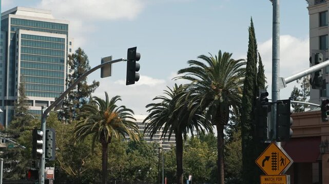 Palm trees and urban intersection in downtown Sacramento show a blend of modern infrastructure, greenery and city life on a sunny day