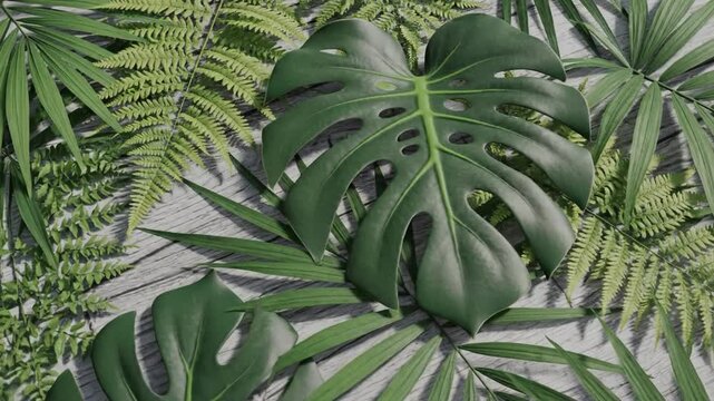Tropical leaves on gray background.