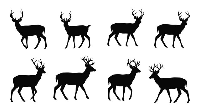 Collection of eight black silhouettes depicting male deer with antlers various poses silhouette stag buck antlered whitetail red elk cervidae