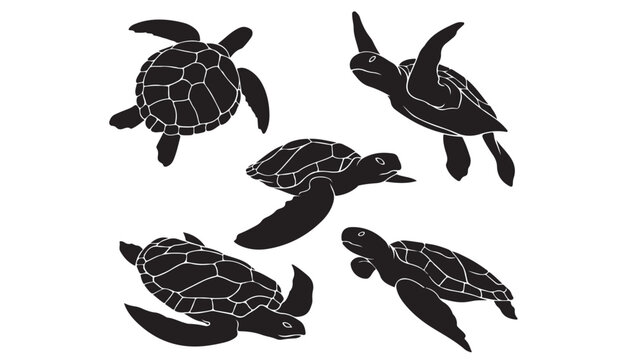 Sea turtle silhouette collection, set of 5 marine reptile vector icons, black aquatic animal shapes for ocean conservation and beach branding