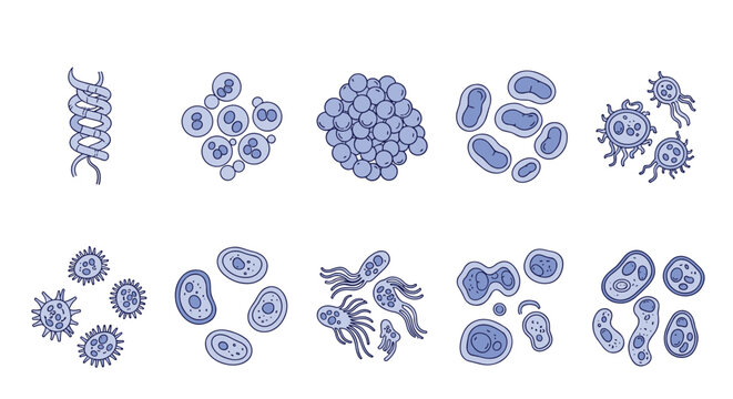 Scientific collection of various blue colored bacteria and micro-organisms in different shapes like cocci, bacilli, and spirilla styles.