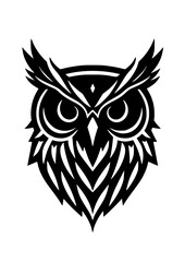 Fototapeta premium Storm Owl