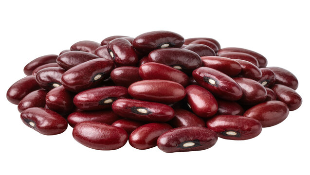 Pile of dark red kidney beans with white hilum
