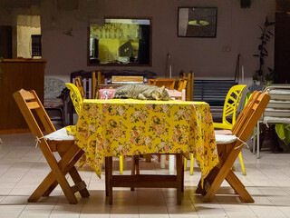 Cat sleeping on a table with floral tablecloth in Chiang Mai © Hans Hansen