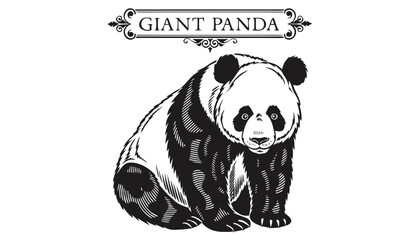 Very beautiful black-and-white engraved vector illustration featuring a giant panda with detailed fur textures and a decorative engraved label reading "GIANT PANDA", isolated on white background. © williamnoah