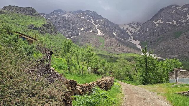 Gravel road leads between a stone wall and lush green spring trees toward snow-streaked rocky mountains under a heavy stormy sky.
📍 Hawraman Takht, Kurdistan, Iran 