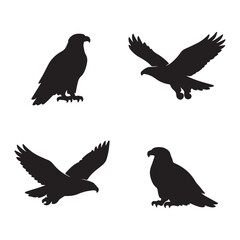 Fototapeta premium Collection of four black eagle silhouettes showing different poses like standing and flying for wildlife logo concepts.