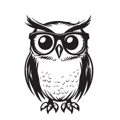 Obraz premium owl on a white background