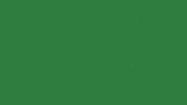 Bunch Fireworks Animated Green Screen Chroma Key Background