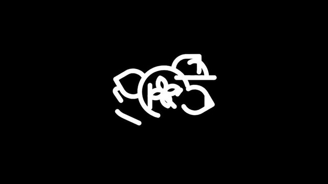 The word Holi written in white Hindi script on a black background