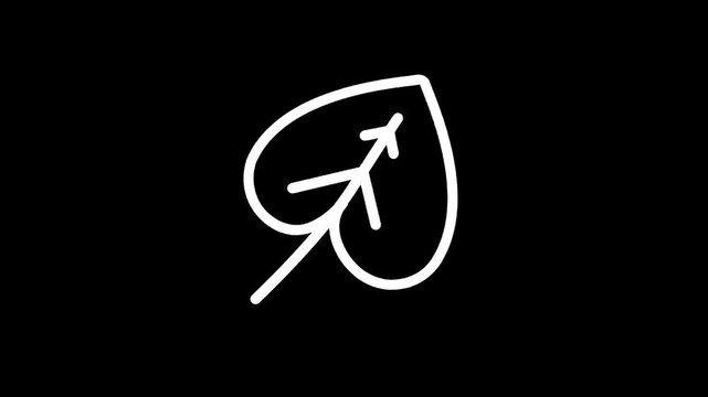 Simple white outline of a leaf with stem and veins on a black background