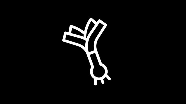 Simple white line art icon of a leek on a black background