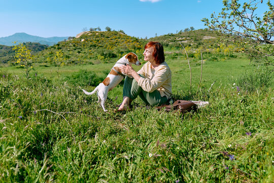 Owner playing with loyal dog in spring meadow