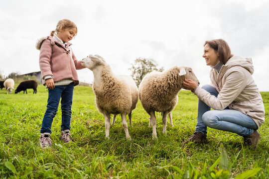 Smiling mother and daughter with sheep at field