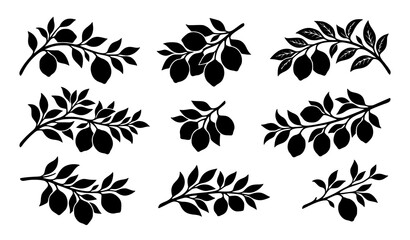 Obraz premium Botanical Leaf Branch Silhouette Collection Nature Vector Design Set