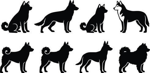Black dog silhouettes set featuring husky, shepherd, and spitz breeds in sitting and standing poses isolated on white background © Mst Shamima