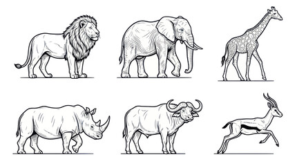 African Safari Animals Collection: Lion, Elephant, Giraffe, Rhino, Buffalo, Gazelle © febri