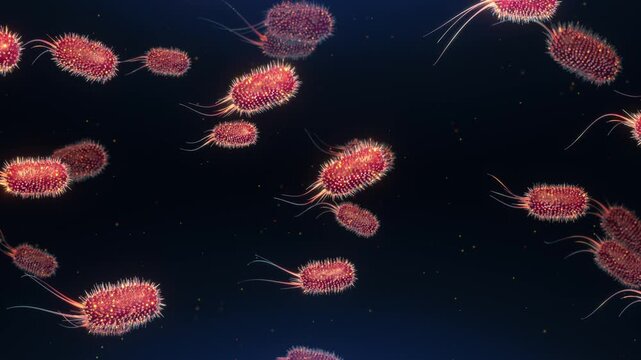 Abstract Animation Loop of Red Bacteria Floating on a Blue Background. Intestinal microbiome cells, stomach germs, and biological particles for biotechnology and immunology research concepts.