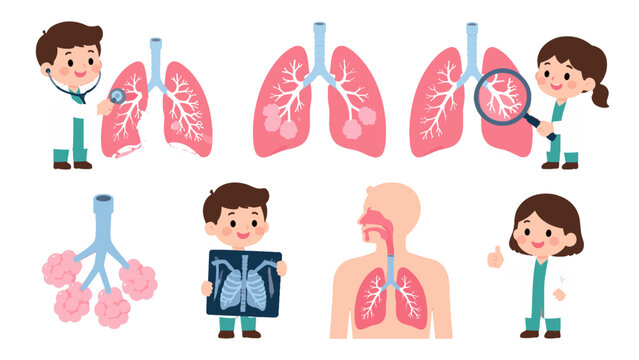 Cute doctor characters with lungs and respiratory anatomy set