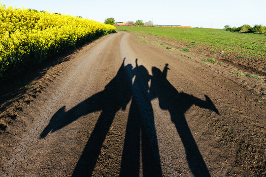 Playful shadows on a dirt road in the spring countryside