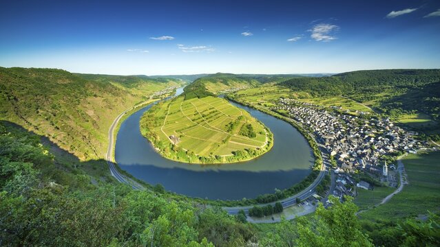 View of the Moselle loop, Bremm, Moselle valley, Rhineland-Palatinate, Germany