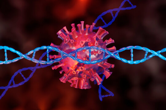 3D Rendered Illustration of a Corona virus with its DNA
