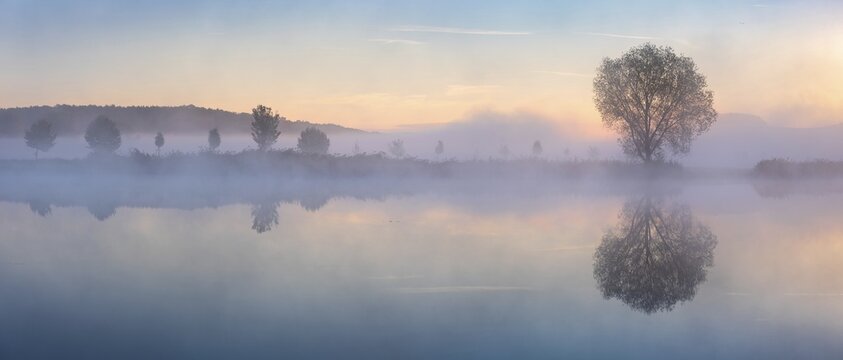 Lake with morning mist at dusk, trees reflected on the shore, Thuringia, Germany