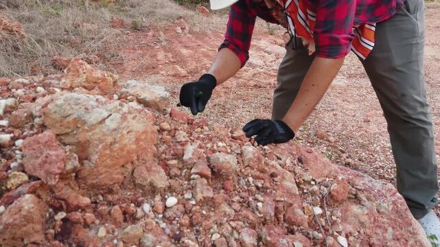 The paleontologist is meticulously collecting cranial fragments of a dinosaur for further analysis