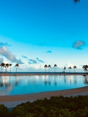Naklejka premium tropical beach at sunset