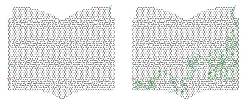 Children's vector maze in the shape of an open book with the solution on a transparent background 