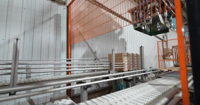 Steady shot of an automated robotic gripper lifting cardboard boxes from a conveyor belt on a modern industrial packaging line