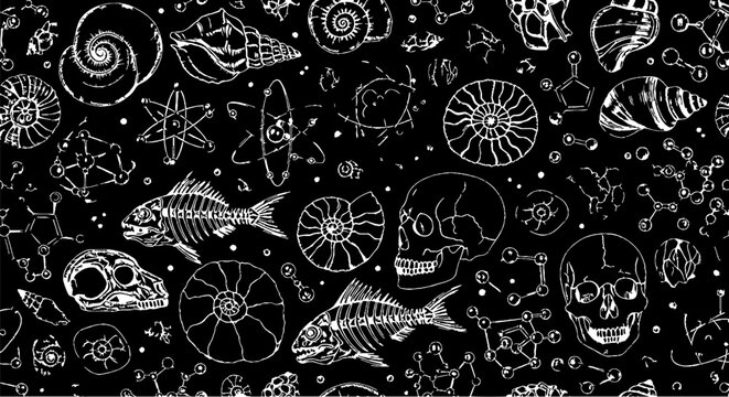 Intricate Black and White Marine Fossils and Skulls Illustration.