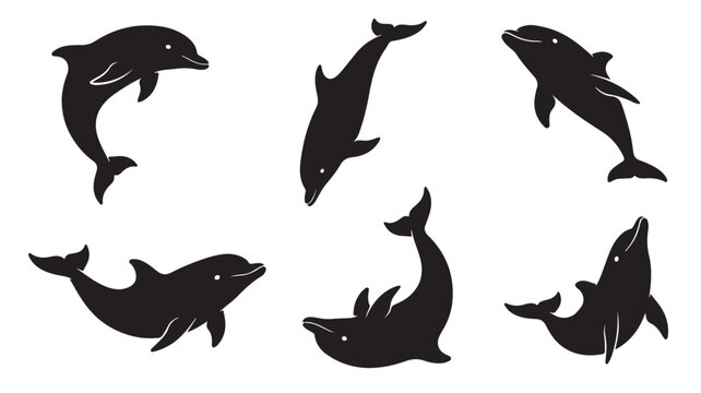 Dolphin silhouette collection, black jumping dolphin vector set of 6 icons, aquatic sea animal shapes for marine life design and ocean logos