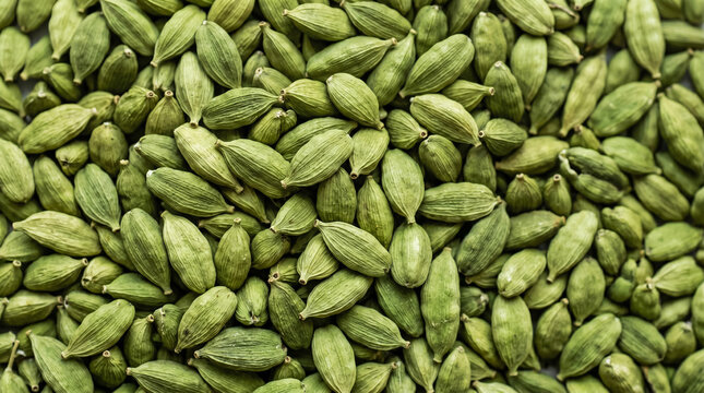 Green Cardamom Pods Close-up Macro Shot, Aromatic Spice Background