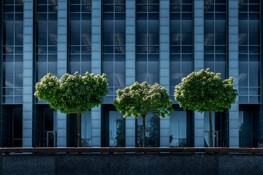 Facade. Green Images – Browse 730,946 Stock Photos, Vectors, and