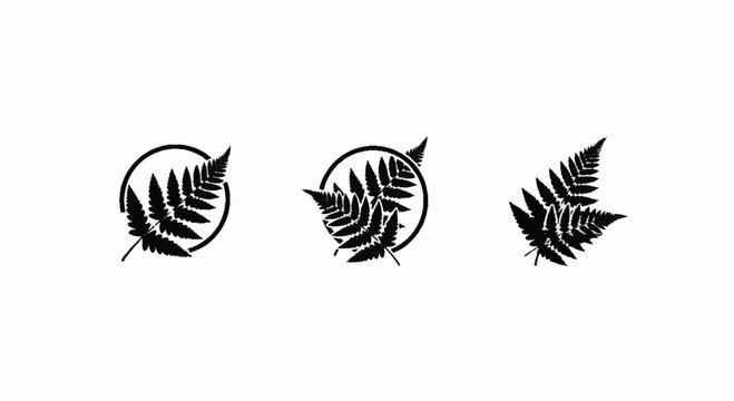 Minimalist black fern leaf logo design elements set.