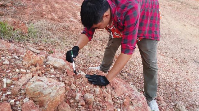 The researcher is carefully brushing away dirt to reveal a dinosaur skull