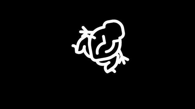 Simple white line drawing of a frog on a black background, minimalist style