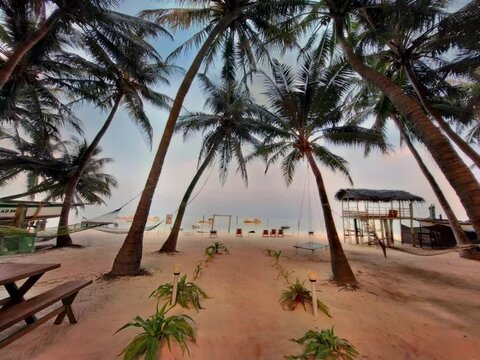 tropical beach at sunset