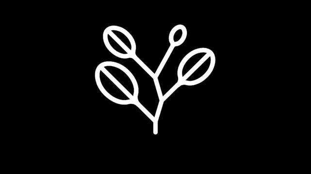 Minimalist white outline of a plant with leaves and buds on a black background